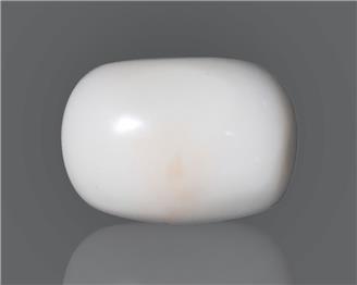 Natural White Coral  12.36 CTS (50142)